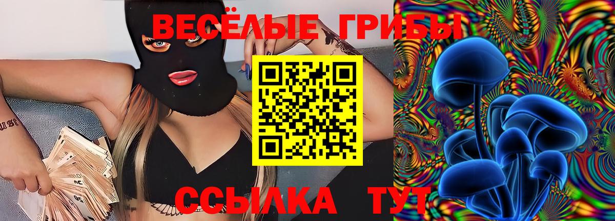 дарнет шоп  Псилоцибиновые грибы ЛСД  Вход с VPN  Сегежа 